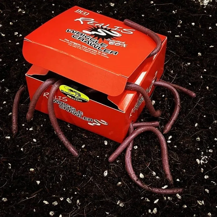 Japoneses DUO fideos gusano WRIGGLE CRAWLER gusano cebo señuelo biónico falso negro Pit Bass pez mandarín - imagen 5