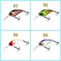 Chaser5060-set-11