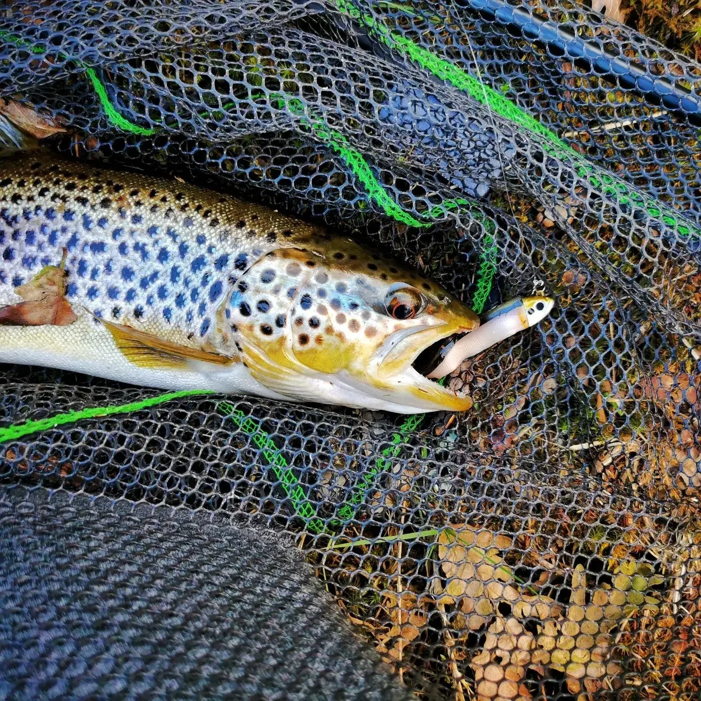 TEKNIK Jig Head 2 unids/bolsa señuelo Jig pececillo negro 5g 10g 15g 25g 40g señuelo de Jigging para lubina pececillo negro cebo Artificial giratorio - imagen 5