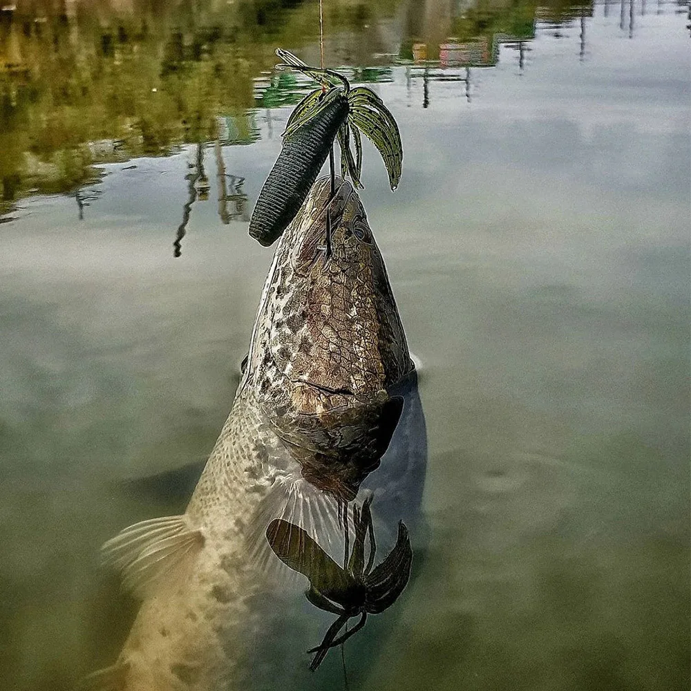 9cm 10g Fat Ika silicona Softbait Swimbait 5 uds Easy Shiner Shad Pesca gusano plantilla señuelos artificiales para lubina perca Pesca - imagen 3