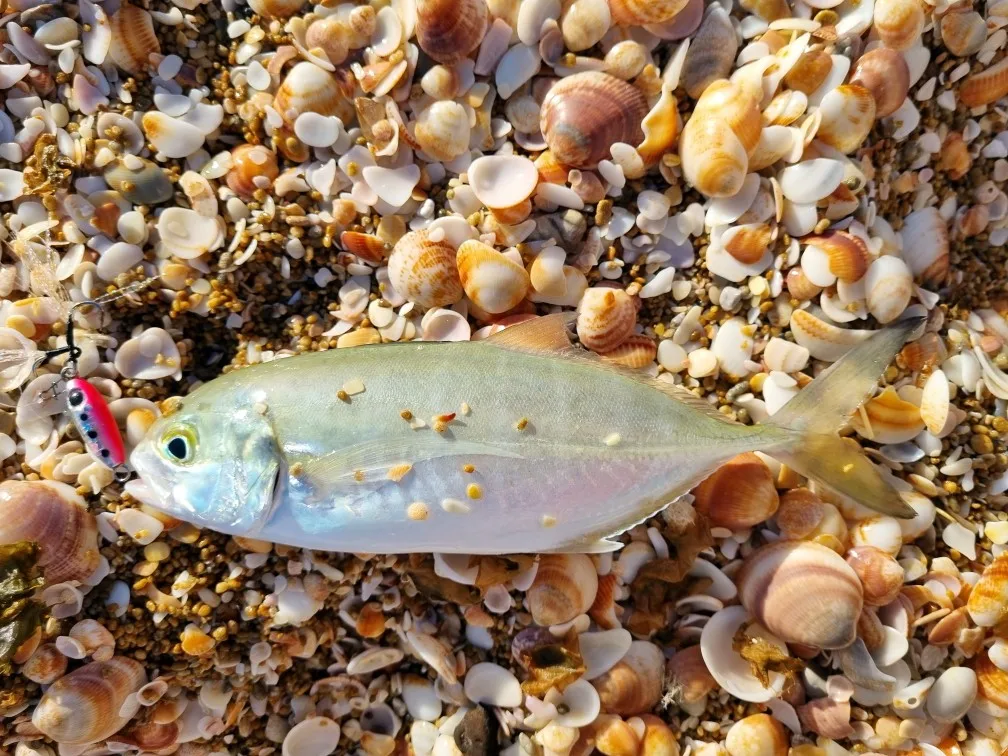 FSTK Micro plantilla Shore Casting Jigging cuchara 3,5G 5G 7G 10G 15G Rockfishing gota lenta Micro plantilla de Metal fundido señuelo de pesca de agua salada - imagen 2