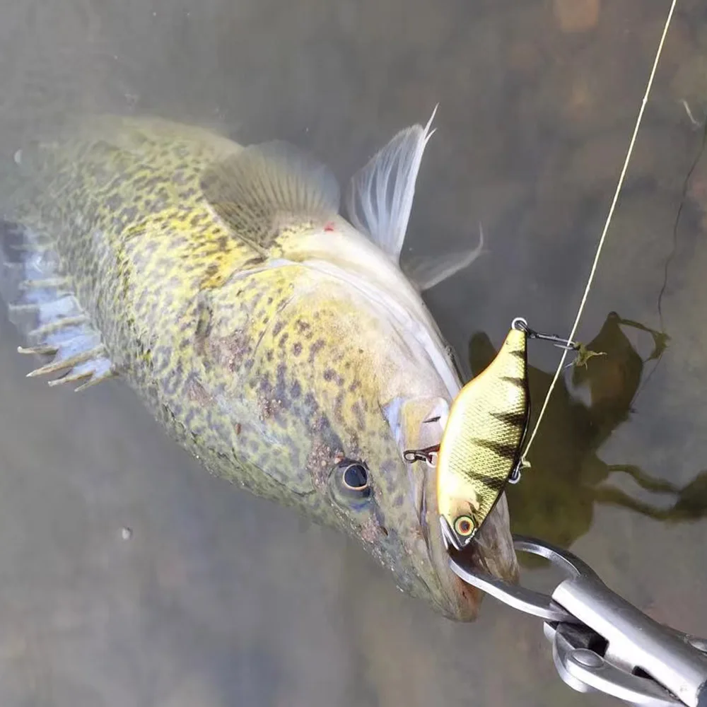 Hundimiento Vibration-X Vib Lipless Crankbait 6cm 12g, Señuelos de Pesca de ratán VIB, cebo duro para Lucio, salmón, pesca en hielo de invierno - imagen 2