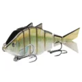 Emerald Shiner