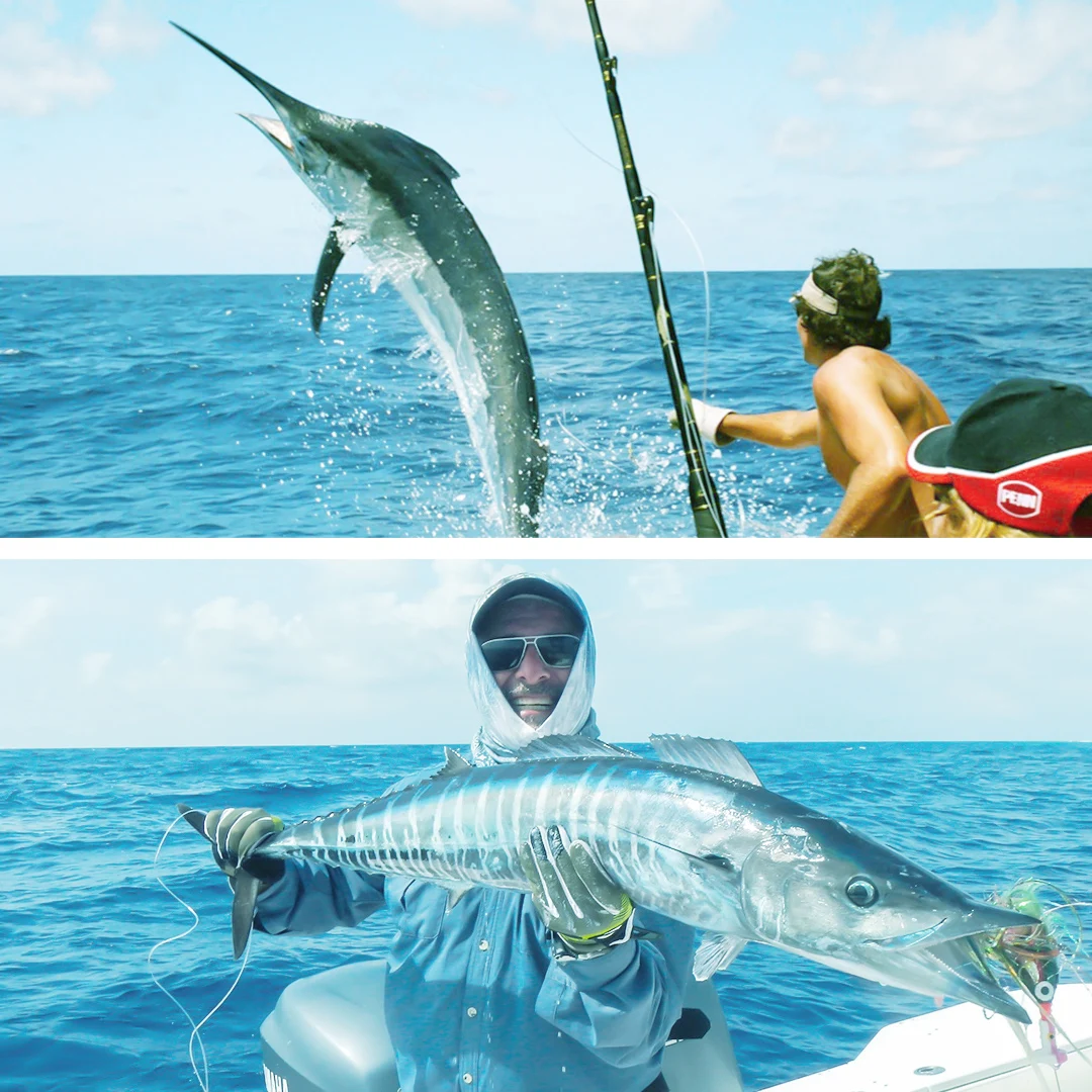 Warknife-sedal de pesca W8 de 300m, 500m, 8 hebras trenzadas, multifilamento, PE, 6-300LB, tejido para pesca de carpa en agua salada - imagen 5