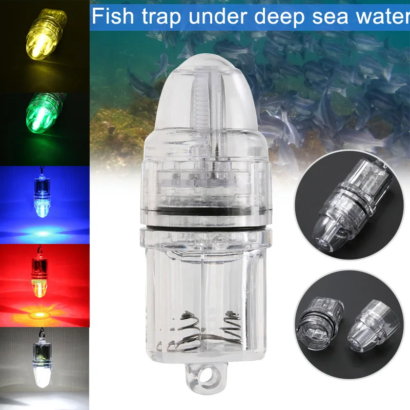 Luz LED para atraer peces de aguas profundas, señuelo de cebo para pesca, resistente al agua, accesorios de pesca - imagen 4