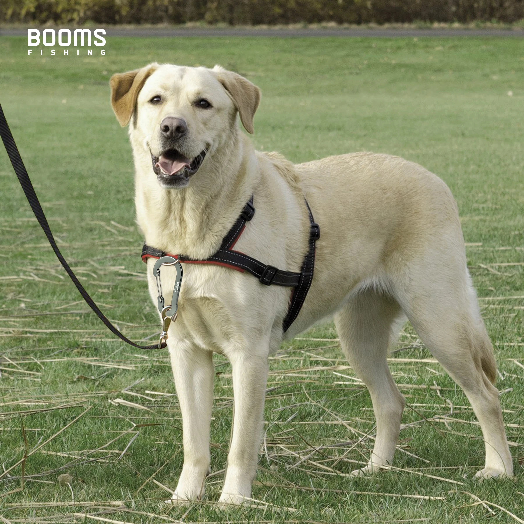 Booms Fishing 5 uds 2,7 pulgadas/7cm mosquetón multiusos Clips llavero pequeños Clips caribeener de aleación de aluminio Mini llavero herramienta de pesca - imagen 4