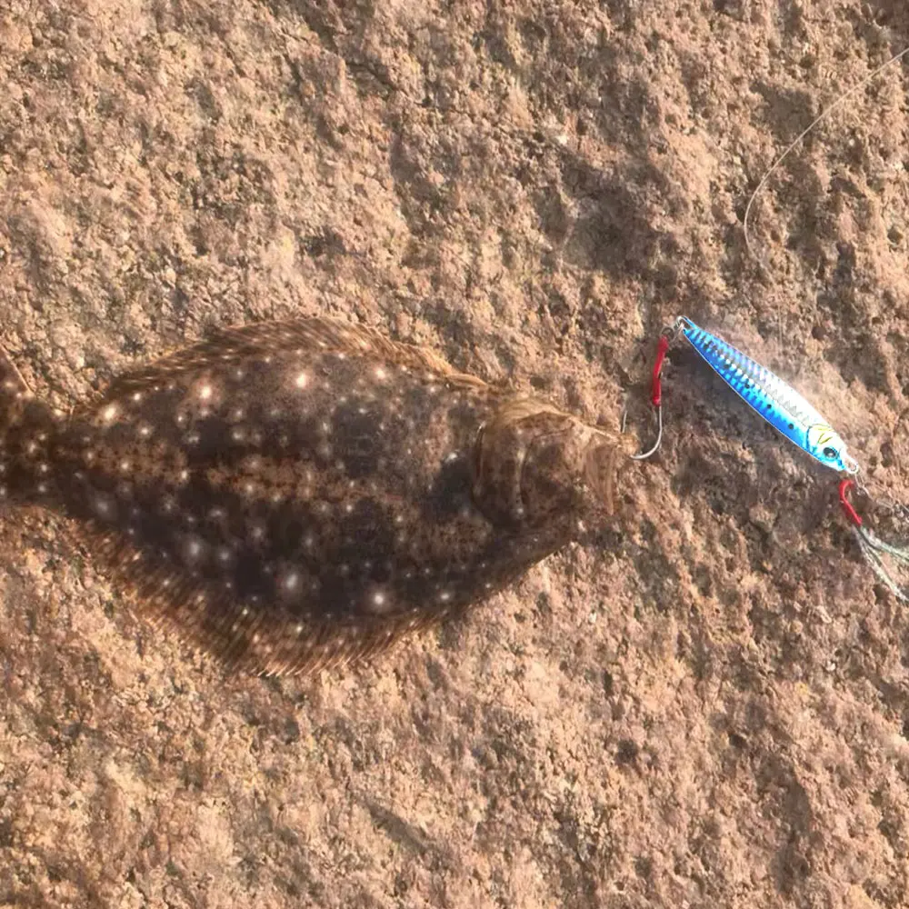 pez globo con señuelo de pesca cercano