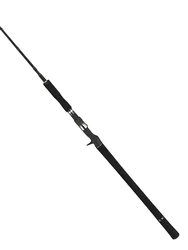 Tailwalk caña jigging rápida con cola de fuerza para mar
