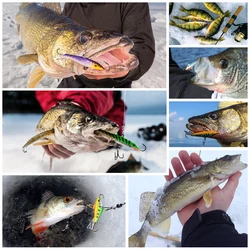 Goture Señuelo pesca en hielo Rap 4 piscardo Swimbait – Jigging