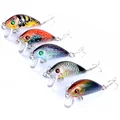 5Pcs Mixed  Colors