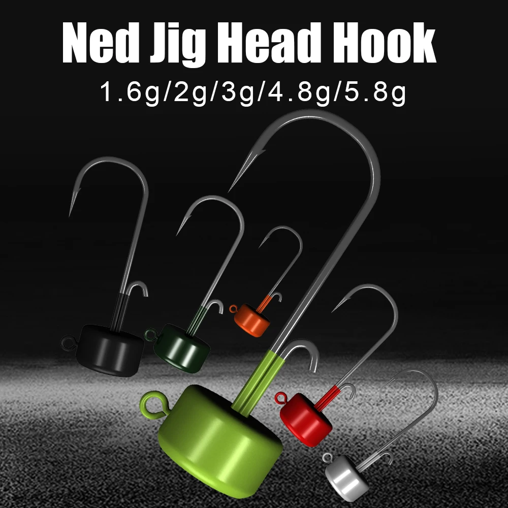 FTK 5 uds Ned anzuelo con cabeza de anzuelo 1,6g 2g 3g 4,8g 5,8g anzuelo de pesca Jigging lubina Lucio gusano suave aparejos de señuelo de pesca - imagen 4