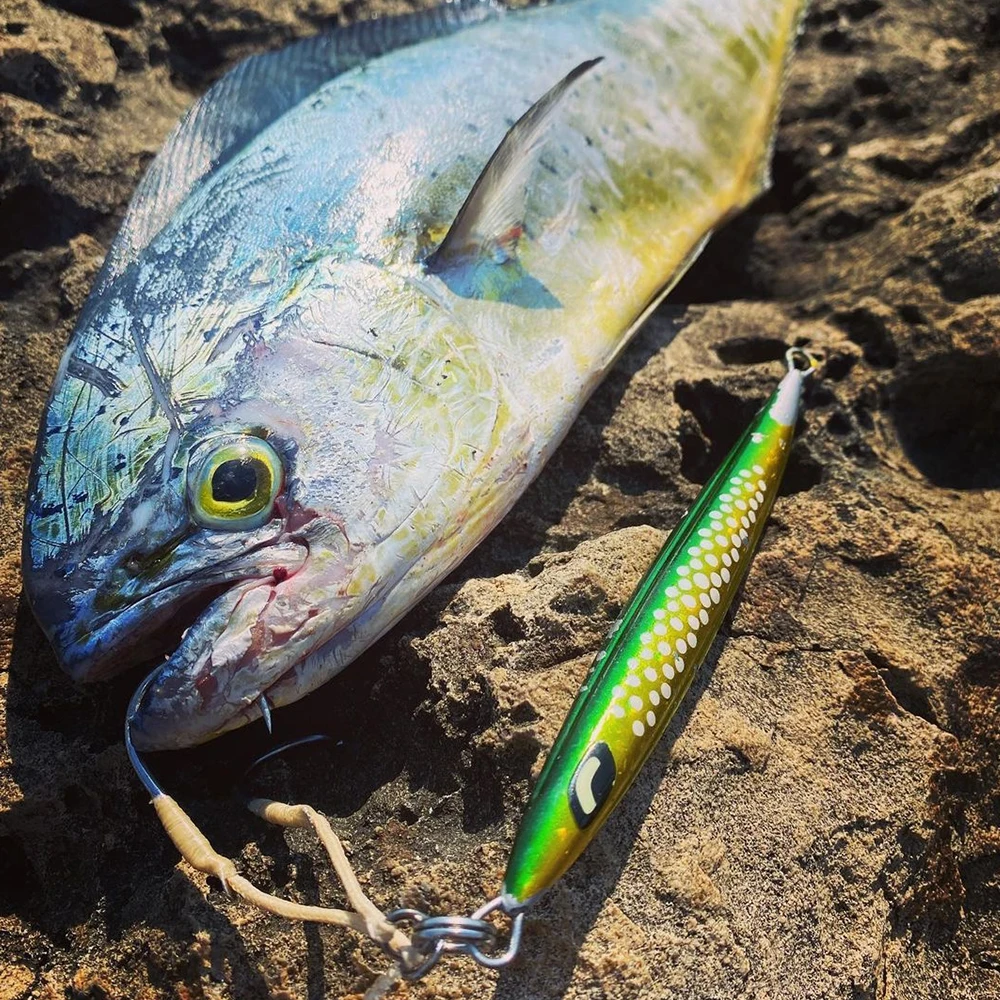 100g150g200g250g300g plantilla de Metal Shore Jigging Pebble Stick cebo agua salada Vertical señuelo de pesca de aguas profundas atún Marlin Wahoo Mahi - imagen 2