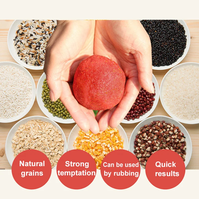 Señuelo de pesca sin mezclar, cebo de 300g, para pesca salvaje, en forma de pit negro, hierba de carpa, plátano, carpas, peces grandes, juego de señuelos húmedos - imagen 4