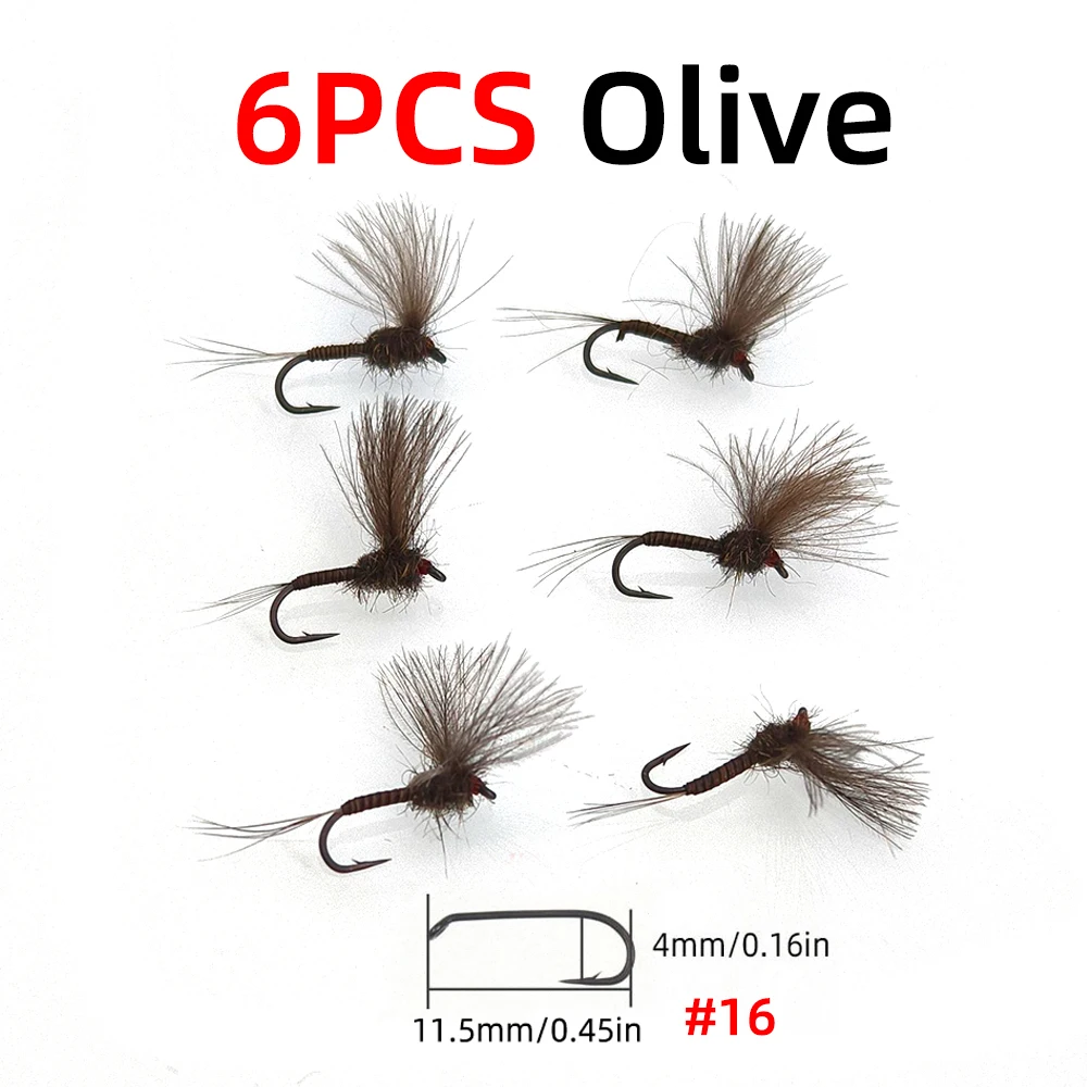 6pcs olive