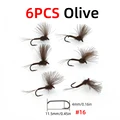6pcs olive