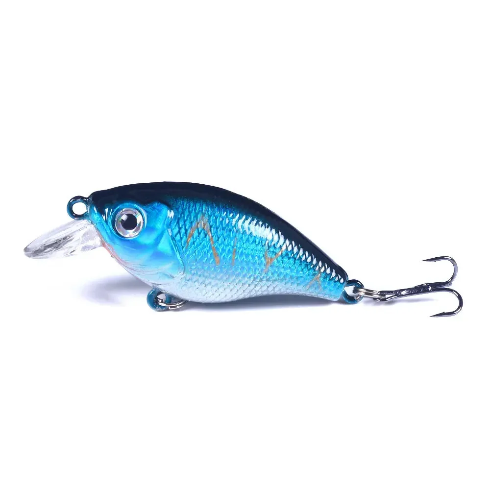 ロングキャスティング-フィッシング用のベイトキット,ベイト,ブラックフィッシュ,シーフィッシング,ナイトライト,5ユニット - imagen 3