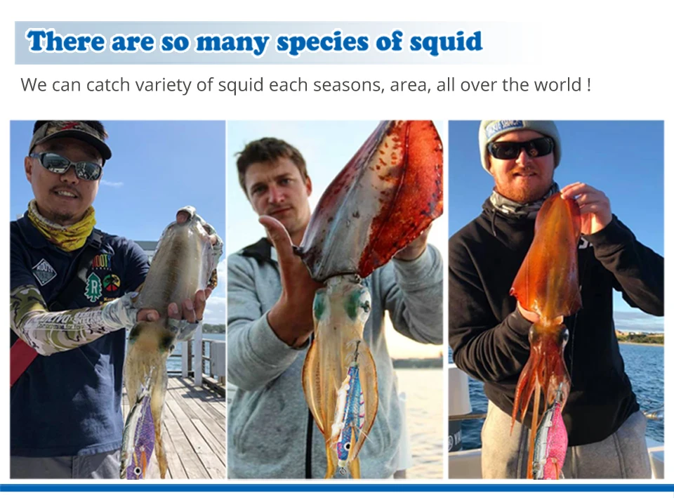 Descubra el mundo diverso de las especies de calamares con interminables oportunidades de exploración y aventura