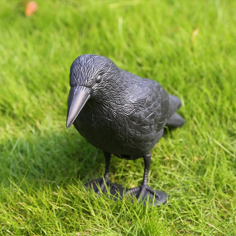 Repelente de palomas y cuervos 2026 – Control plagas jardín exterior - imagen 3