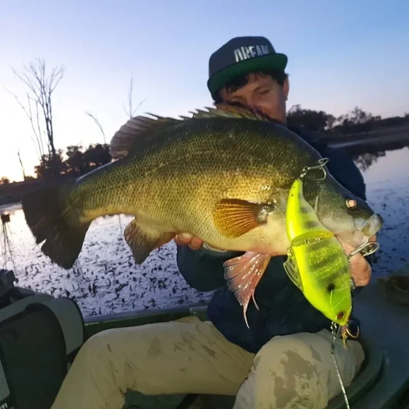 Vatalion-señuelo de pesca flotante, Crankbait sin labios, cebo duro Artificial, Wobblers de vibración VIB articulados, pesca de trucha y lubina, Swimbait - imagen 2