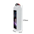 4S9800mah60C-XT60