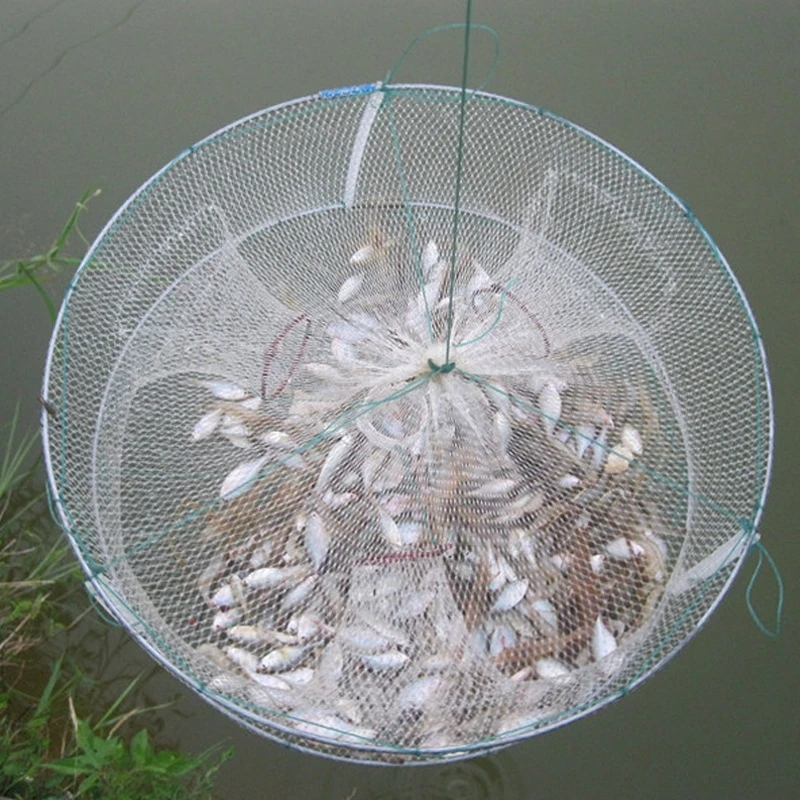Red de pesca plegable portátil, jaula de fundición a mano para cangrejo, redes para peces, trampa de malla de pesca plegable para pececillos, langosta y cangrejos, 2 uds. - imagen 2