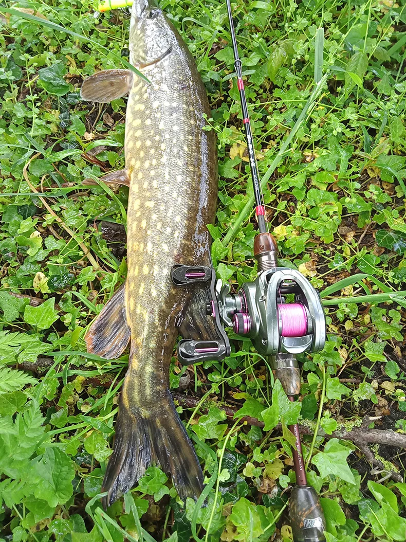 Kingdom 135g carrete ultraligero cebo Finesse carrete de pesca Baitcasting Micro Monster 7,1: 1 8,1: 1 4kg carrete poco profundo bobina de juego de luz - imagen 5