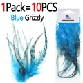 1Pack Blue Grizzly