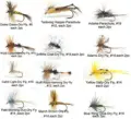24pc 12type Dry Fly