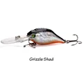 Grizzle Shad