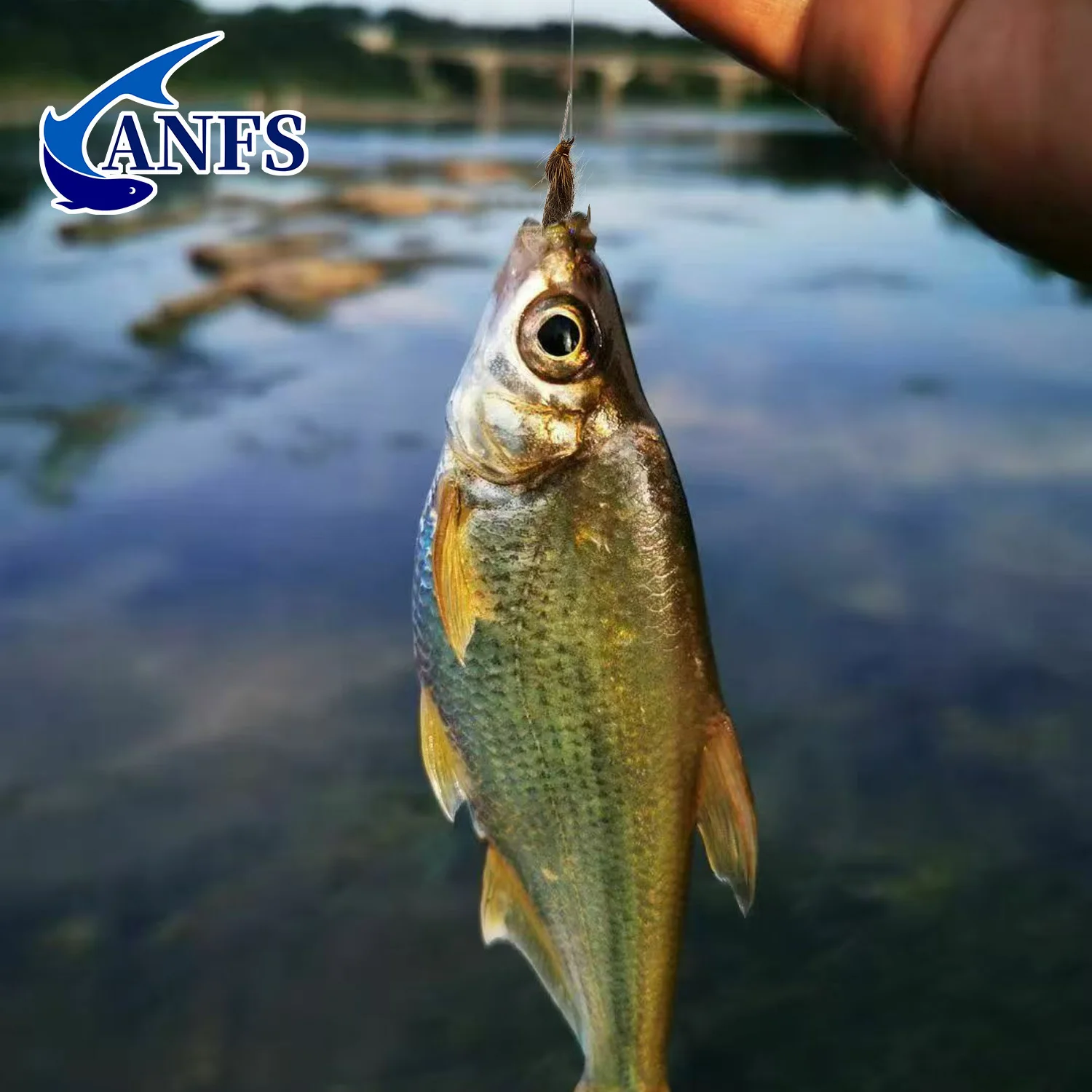 ANFS 4 Uds moscas de pesca con mosca seca con caja de aparejos-cebo con mosca hecho a mano para pesca en agua dulce, señuelo de pesca, cebo de pesca, angelköder - imagen 4