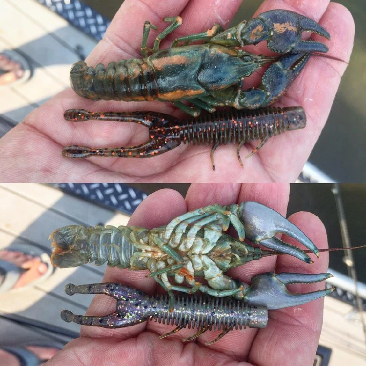 ZMAN Ned grupo de pesca 3 pulgadas Ned camarones flotante señuelo de agua cebo suave gancho de cabeza de plomo especial cebo falso punto multicolor - imagen 2