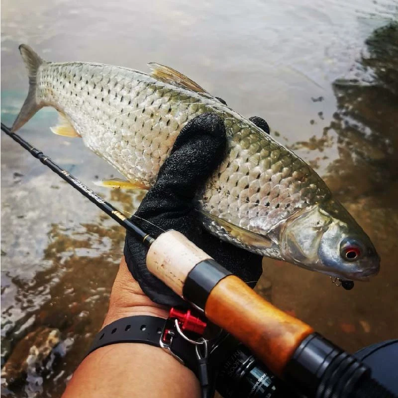 Pioneer-caña portátil de cuatro secciones Yuantou, señuelo ligero Stream Makou FUJI, 2023 - imagen 4