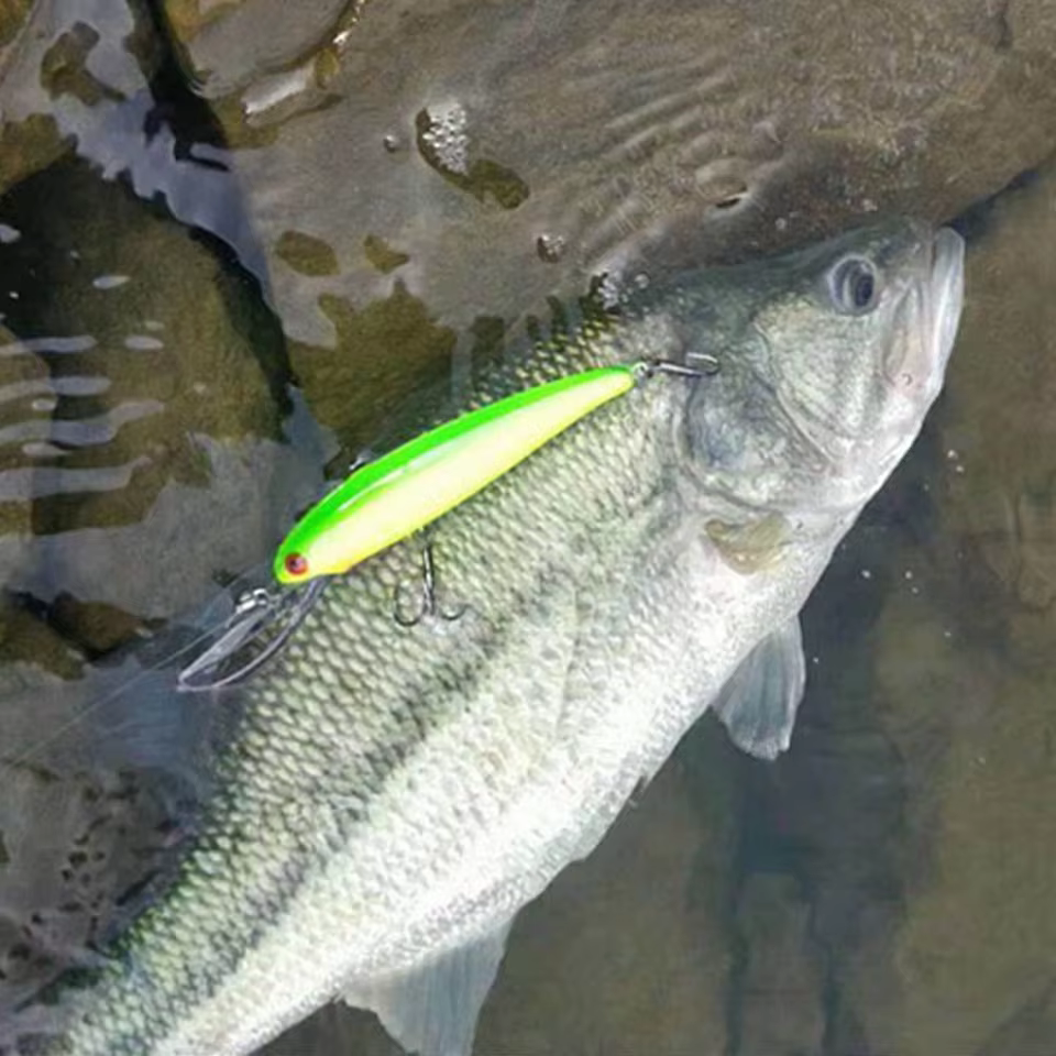Señuelo Minnow Walk Fish 115mm – Cebo artificial duro para lubina - imagen 5
