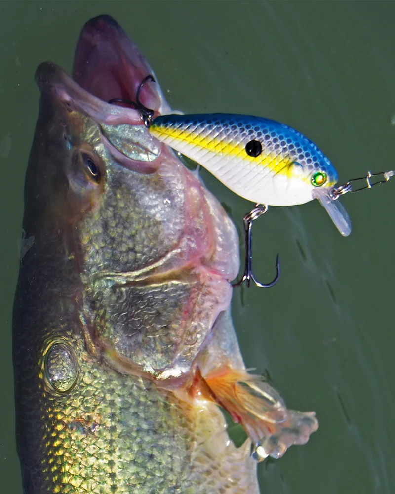 Señuelos de Pesca de plástico duro Artificial, cebos pequeños de manivela de buceo profundo, sonajeros flotantes, Crankbait, 60mm, 12g - imagen 3