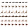 48pcs