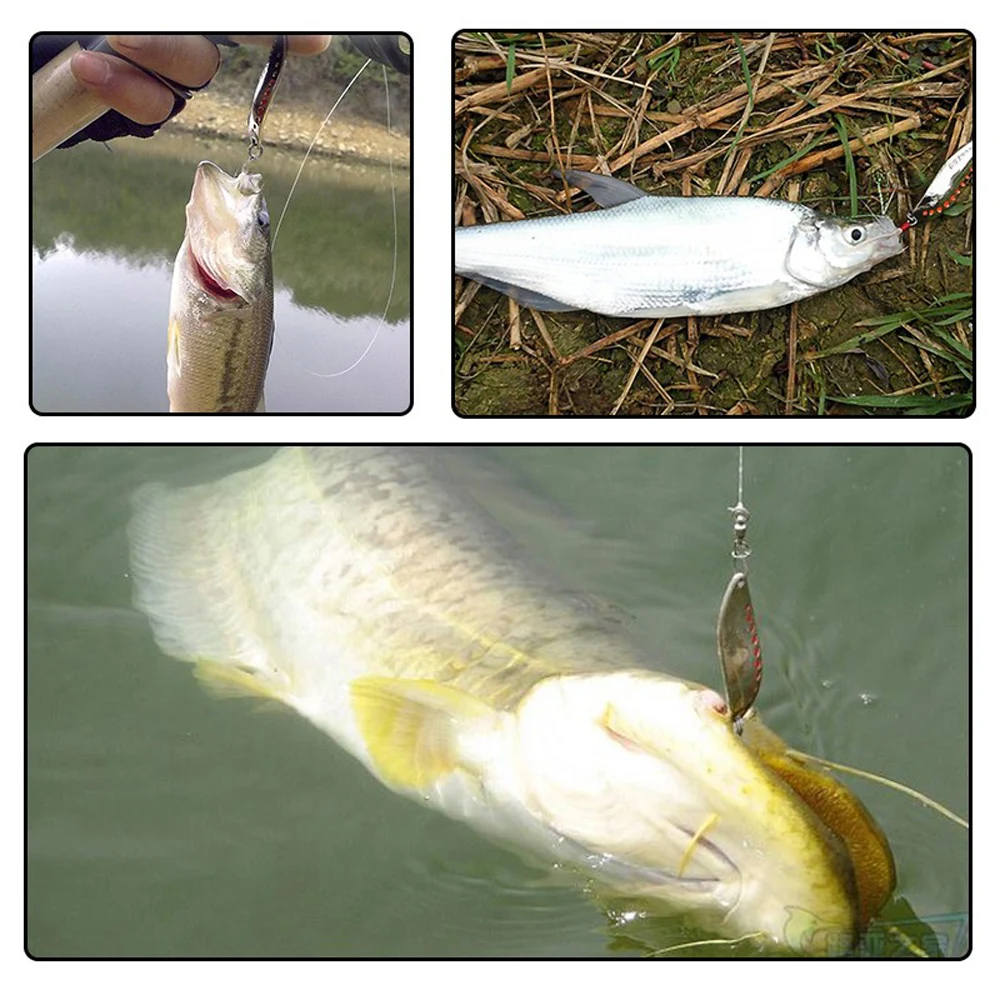 Experimente la emoción de la pesca con nuestro equipo de alta calidad y disfrute de la belleza serena de la naturaleza