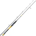 Spinning Rod