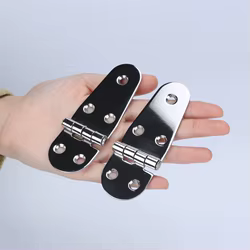 Un par de bisagras de puerta fundidas pulidas con espejo de acero inoxidable de grado marino para barcos, vehículos recreativos