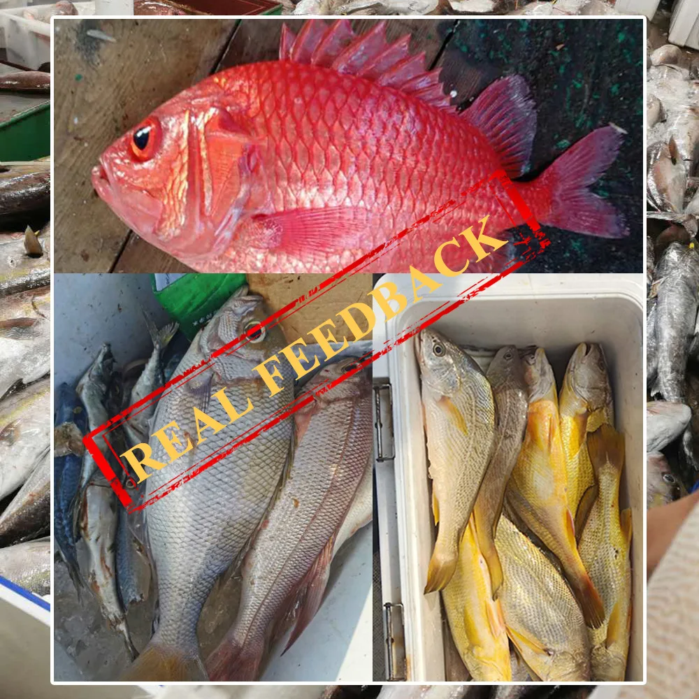 1 piezas 6g/10g lombriz de tierra Natural gusano rojo gusano de arena seca cebo de Pesca de Mar cría Nereidae cebo de pesca - imagen 5