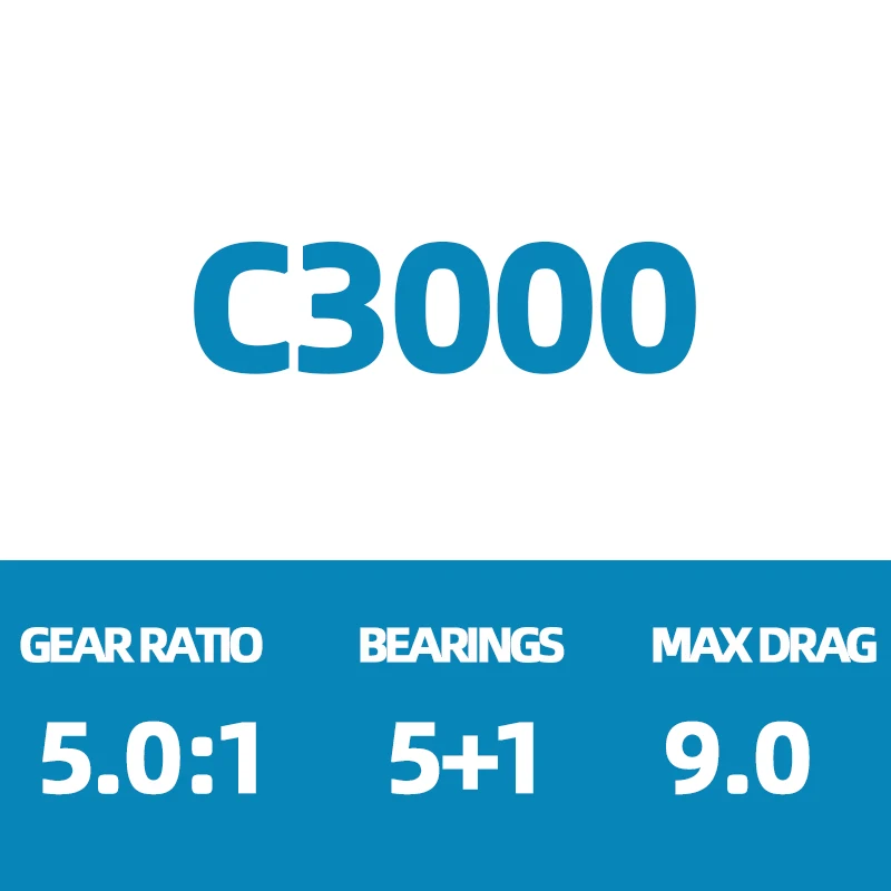 C3000