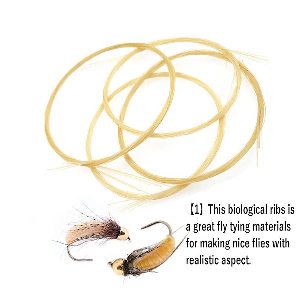 Wifreo-varillas pequeñas de Ninfa para Caddis Pupae, materiales de atado de moscas, 1m - imagen 5