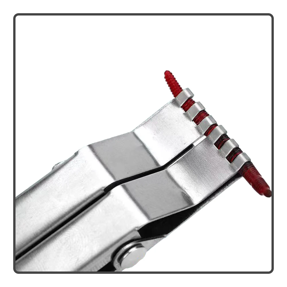 Lombrero de tierra portátil de acero inoxidable, gusano rojo y otros cebos, Clip de resorte vigoroso, gancho de cebo vivo, herramienta de pesca - imagen 4