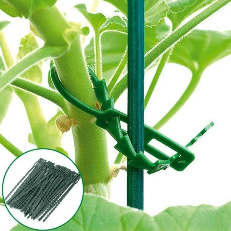 50 Uds. Bridas de plástico ajustables para cables de plantas, bridas para cables reutilizables para jardín, árbol, soporte para escalar plantas, vid, tomate, Clip para tallo - imagen 2