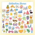 50pcs