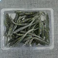 GD16 50pcs  02