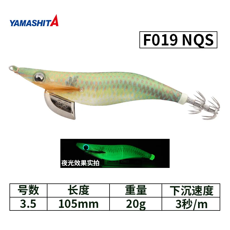 F019-NQS-20g