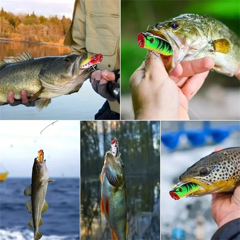5 uds Señuelos de pesca Popper ojos 3d cebo Topwater Crankbait Wobblers aparejos de pesca - imagen 3