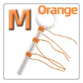 8   Orange  M