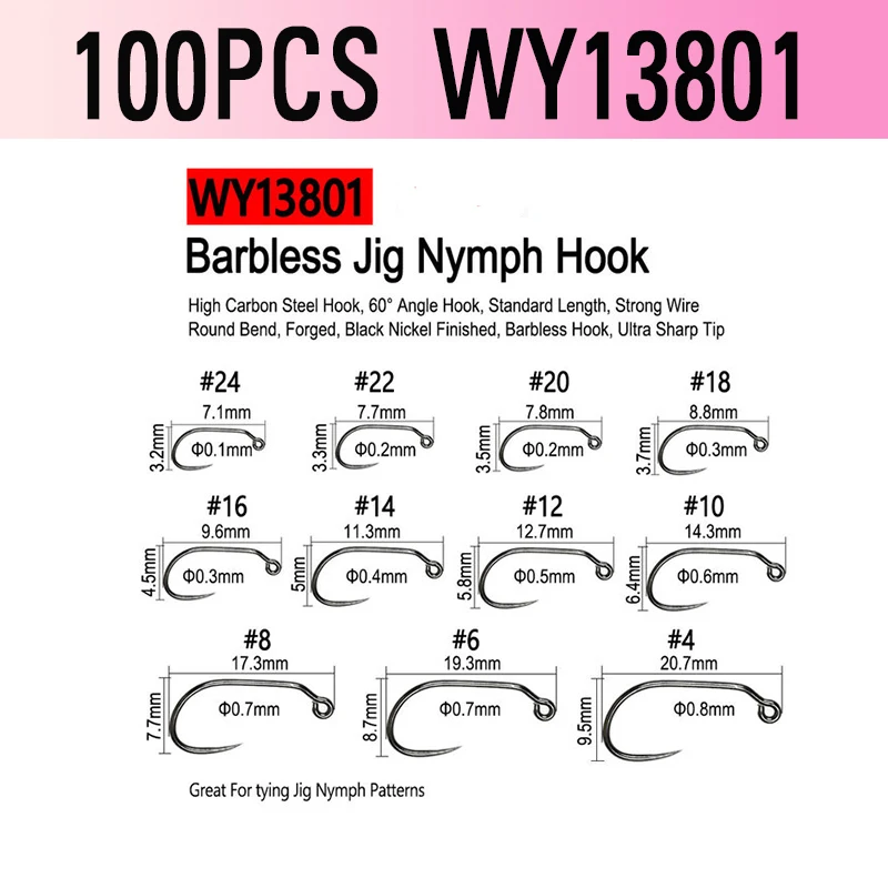 WY13801