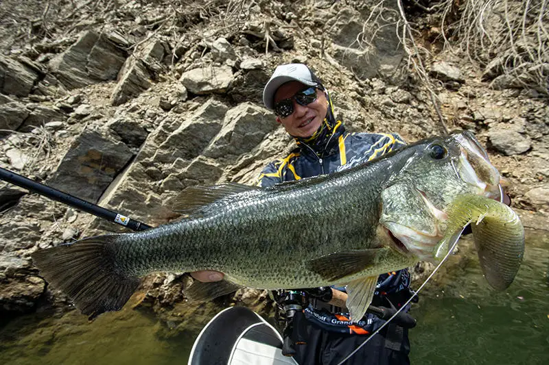 Japón IMAKATSU HUDDLE GILL señuelo de pescado plano cebo suave cebo de natación ranura profunda pescado multisección - imagen 4